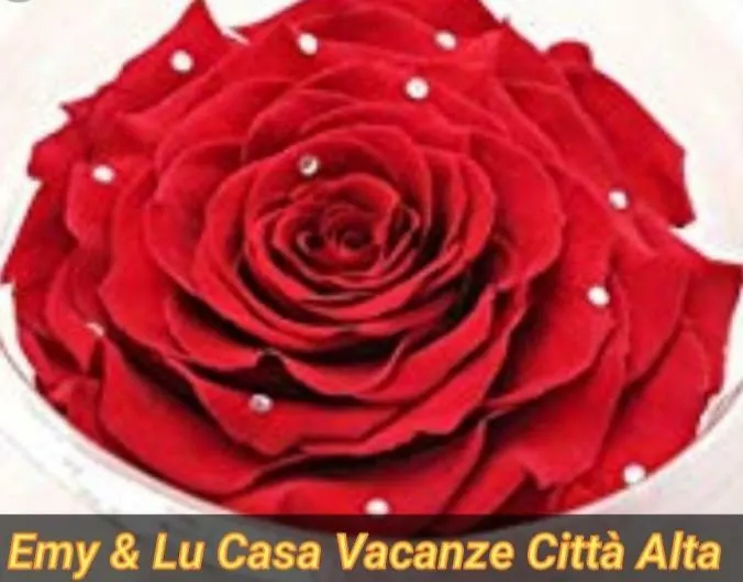 Emy & Lu Casa Vacanza Citta' Alta بيرغامو بيت للعطل